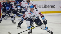 hokej plzeň 30